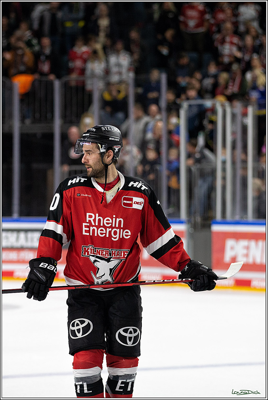 PENNY DEL;  Koelner Haie - Krefeld Pinguins; Koeln, 31.10.2021
